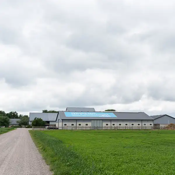 Veterinär häst Ängelholm