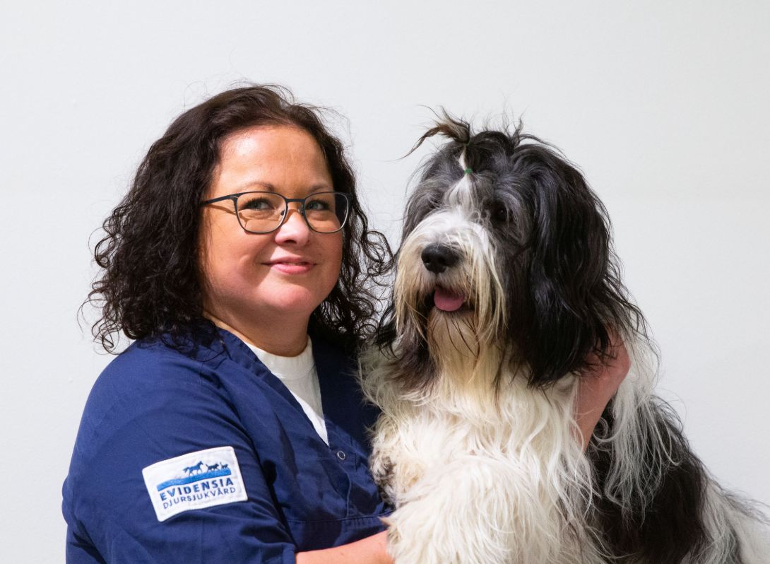 Tova med långhårig hund