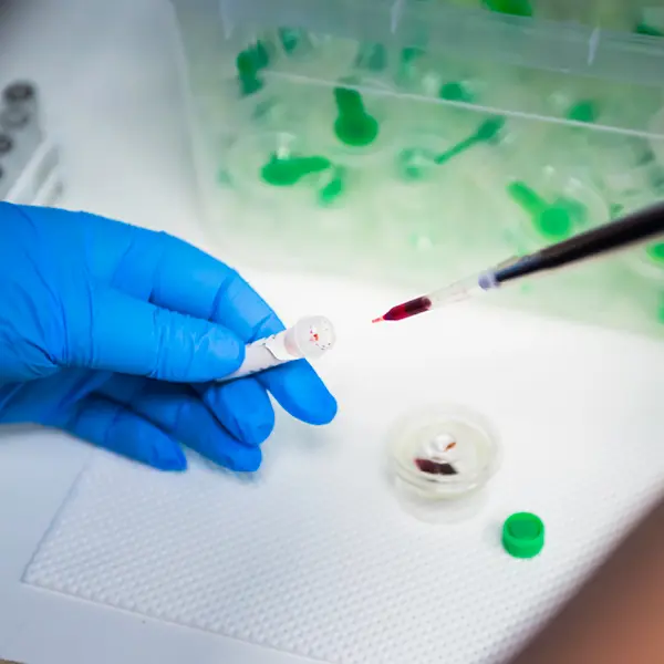 Laboratoriet på Valla Djursjukhus Linköping