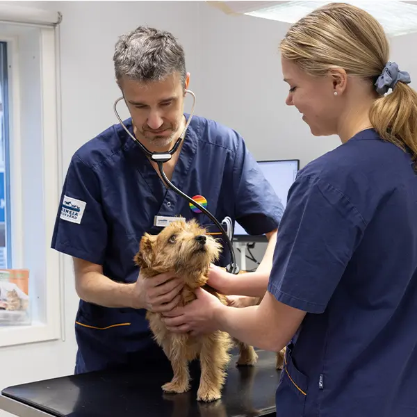 Veterinär Åkersberga