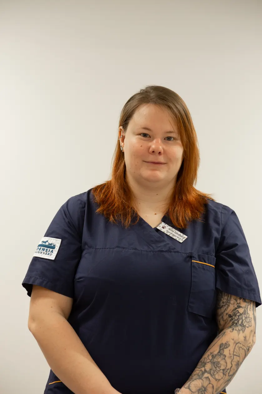Anna Sandberg DV