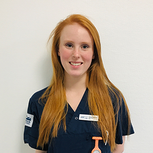 Hedvig