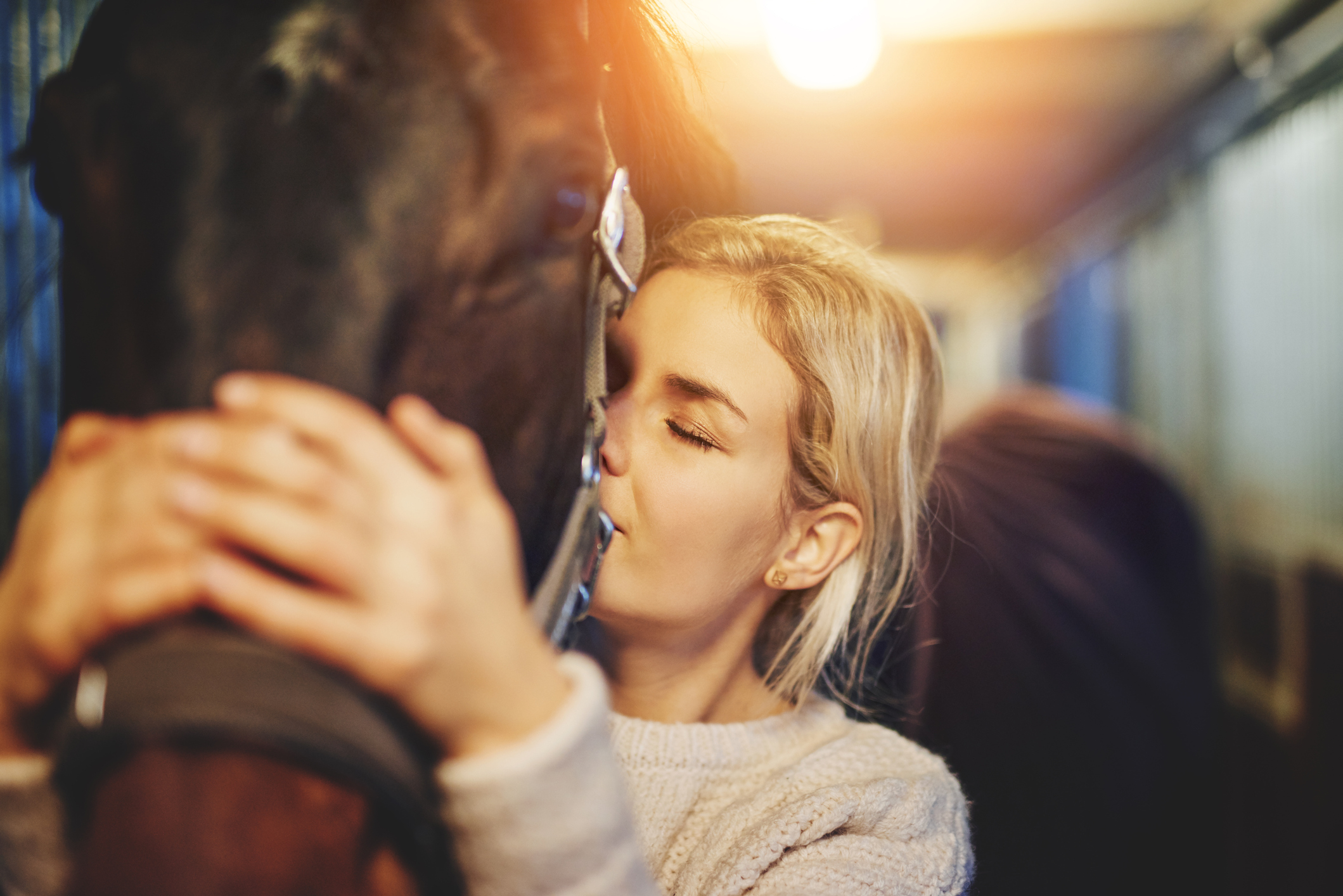 Använd reflexer – så syns du och din häst i mörkret