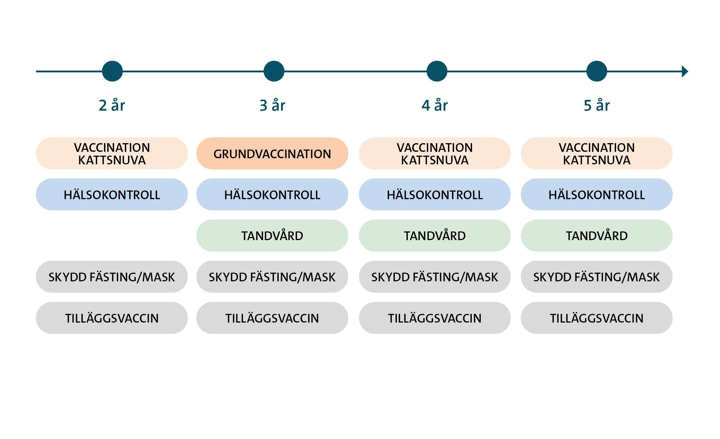 Hälsoplan vuxen katt