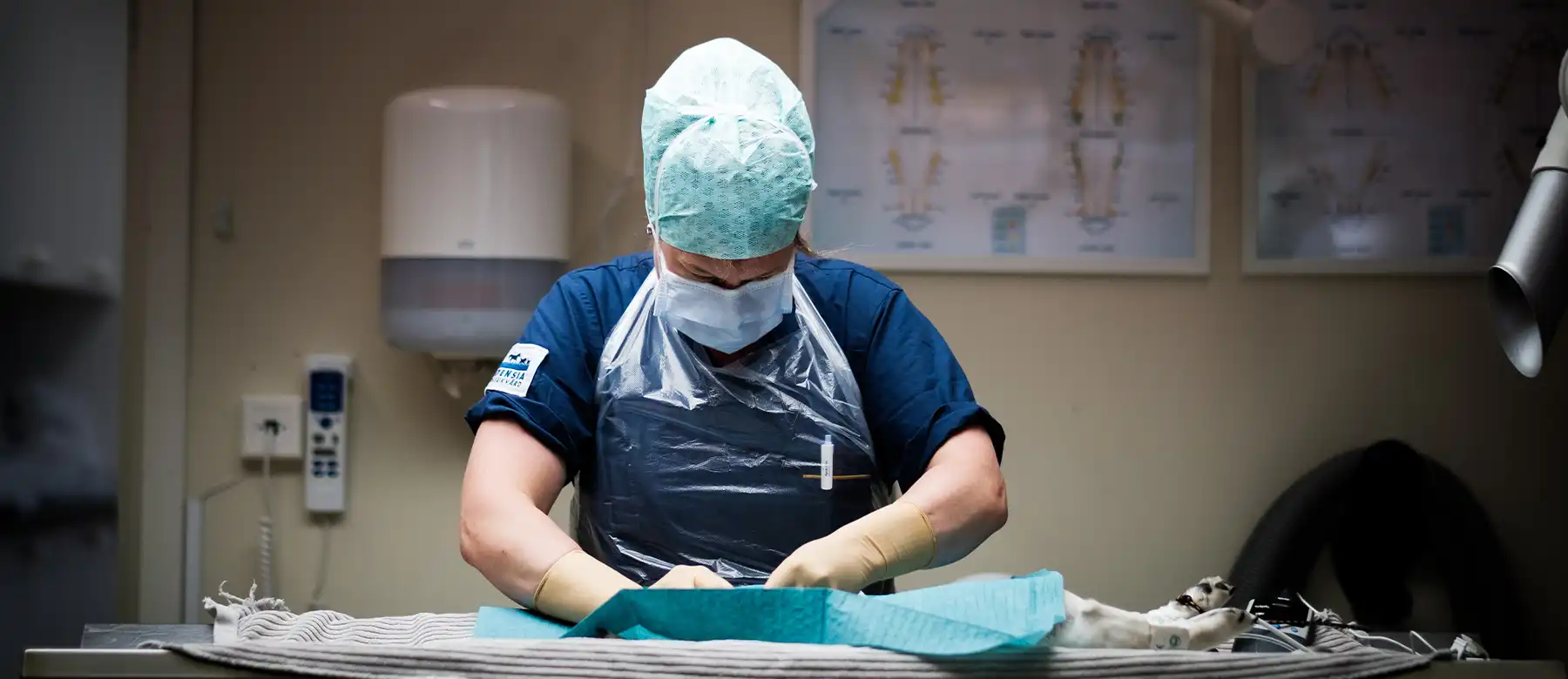 Veterinär Gefle