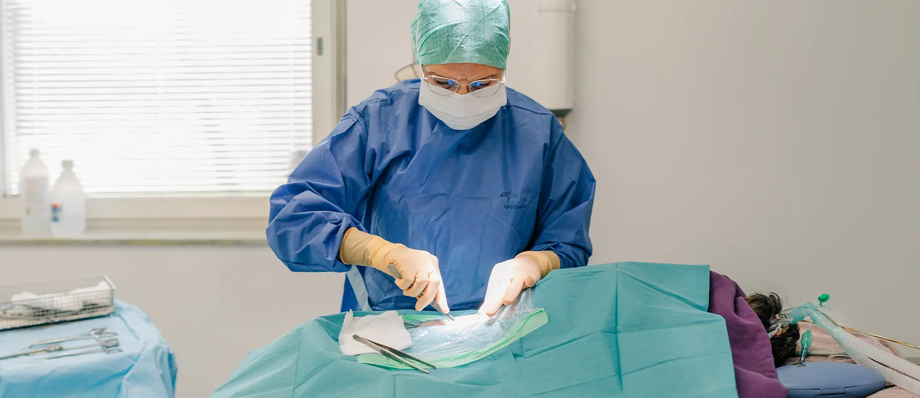 Veterinär Örebro