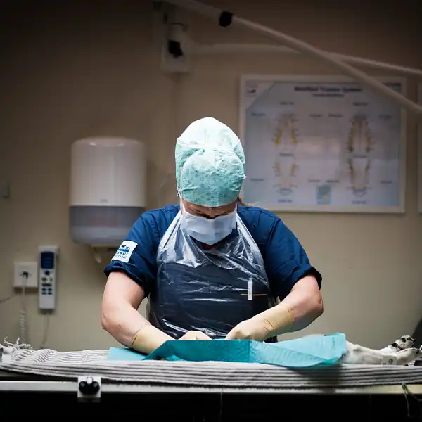 Våra öppettider - Djurkliniken Gefle