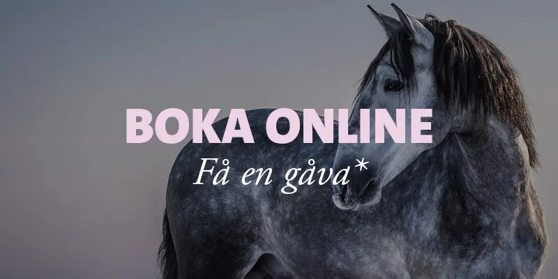 Evidensia Djursjukvård