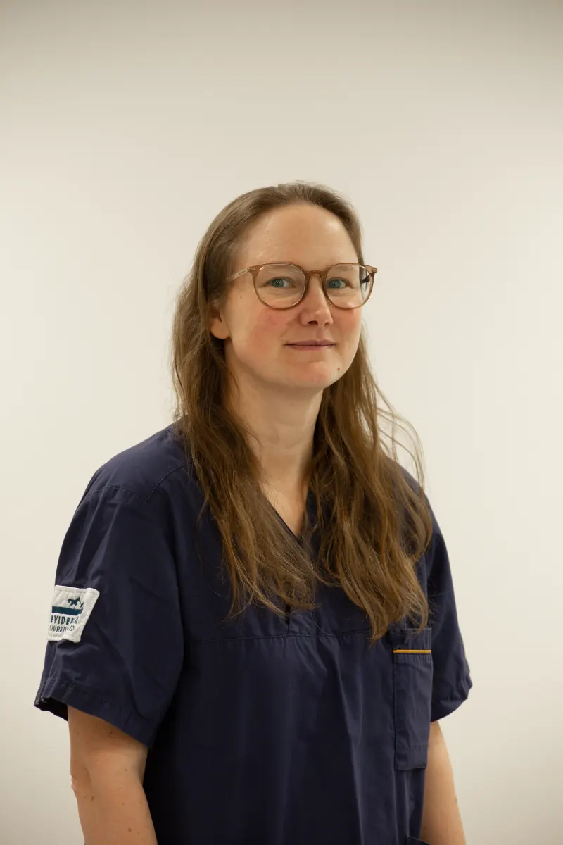 Sara Knutar BMA