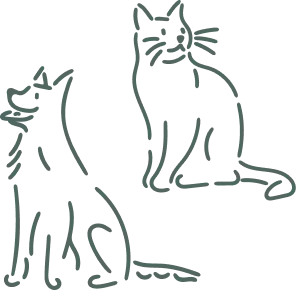 Hund och katt