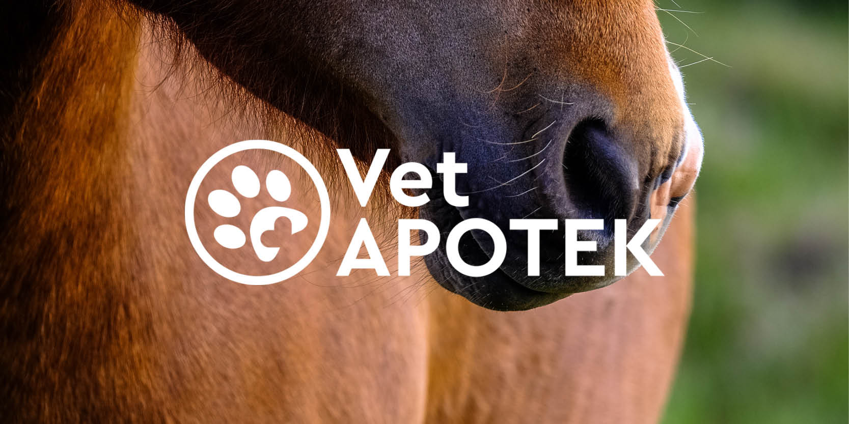 Närbild av brun hästmule. Vit logotyp för VetApotek.se