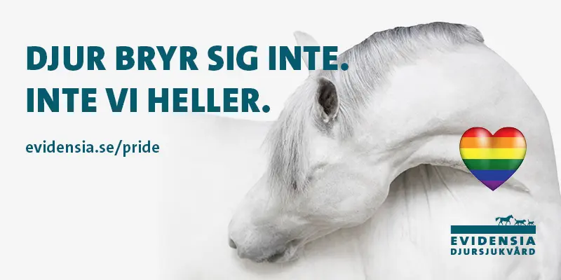 Evidensia Djursjukvård