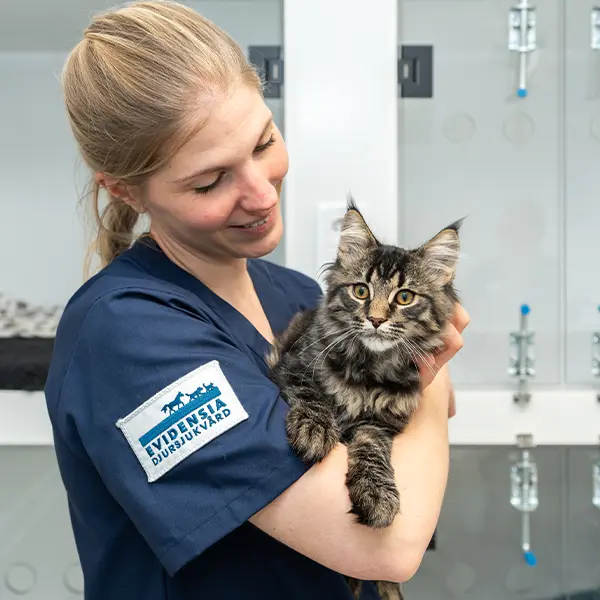 Priser på Uppsala Veterinärklinik 