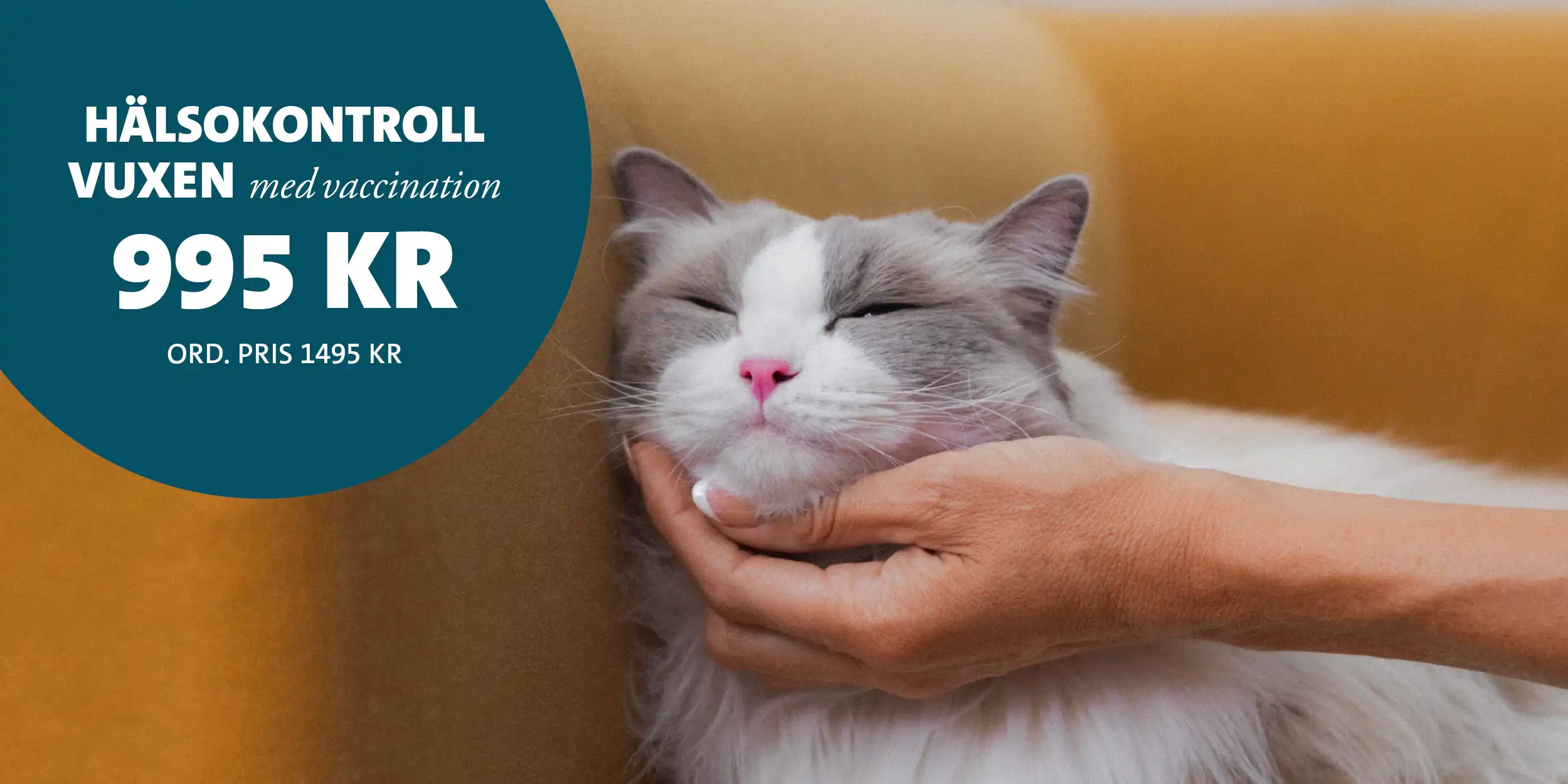 Porträtt av katt i gul soffa. Text: Hälsokontroll Vuxen med vaccination 995 kr (ord. pris 1495 kr).
