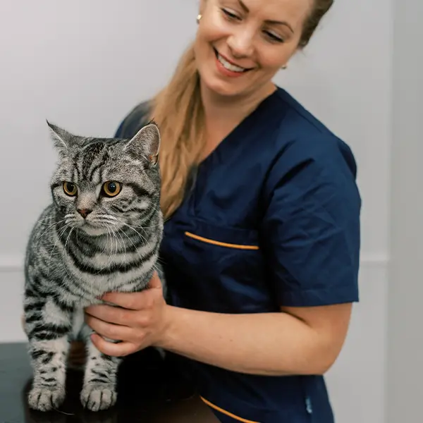 Behandlingar Billdals Djurklinik