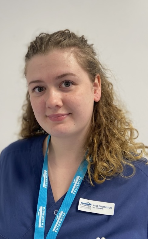 Alice Gustafsson
