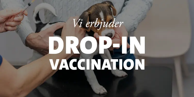 Drop-in vaccination