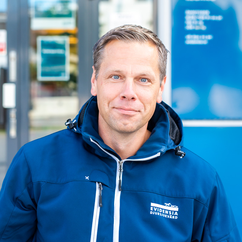 Johan Wiklund