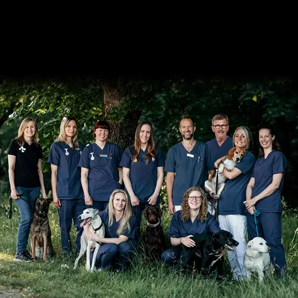 Medarbetare - Djurkliniken Skånes Mitt
