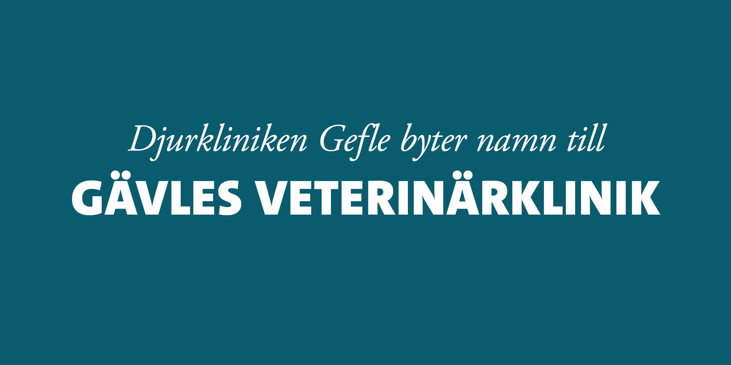 Mörkblå bakgrund med vit text: Djurkliniken Gefle byter namn till Gävles Veterinärklinik