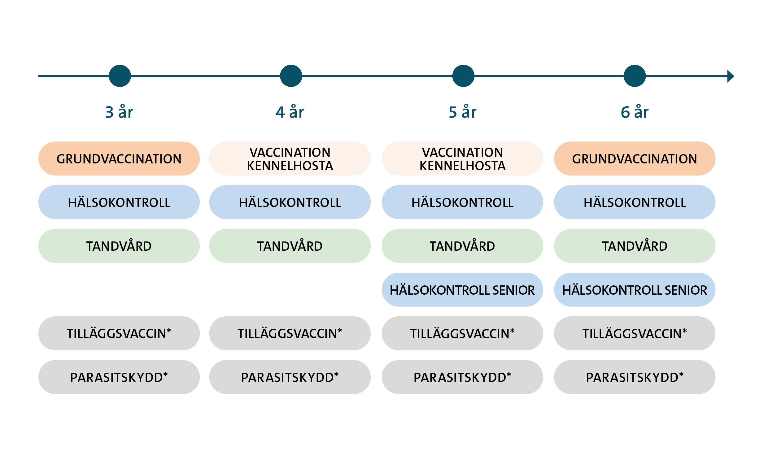 Hälsoplan vuxen hund