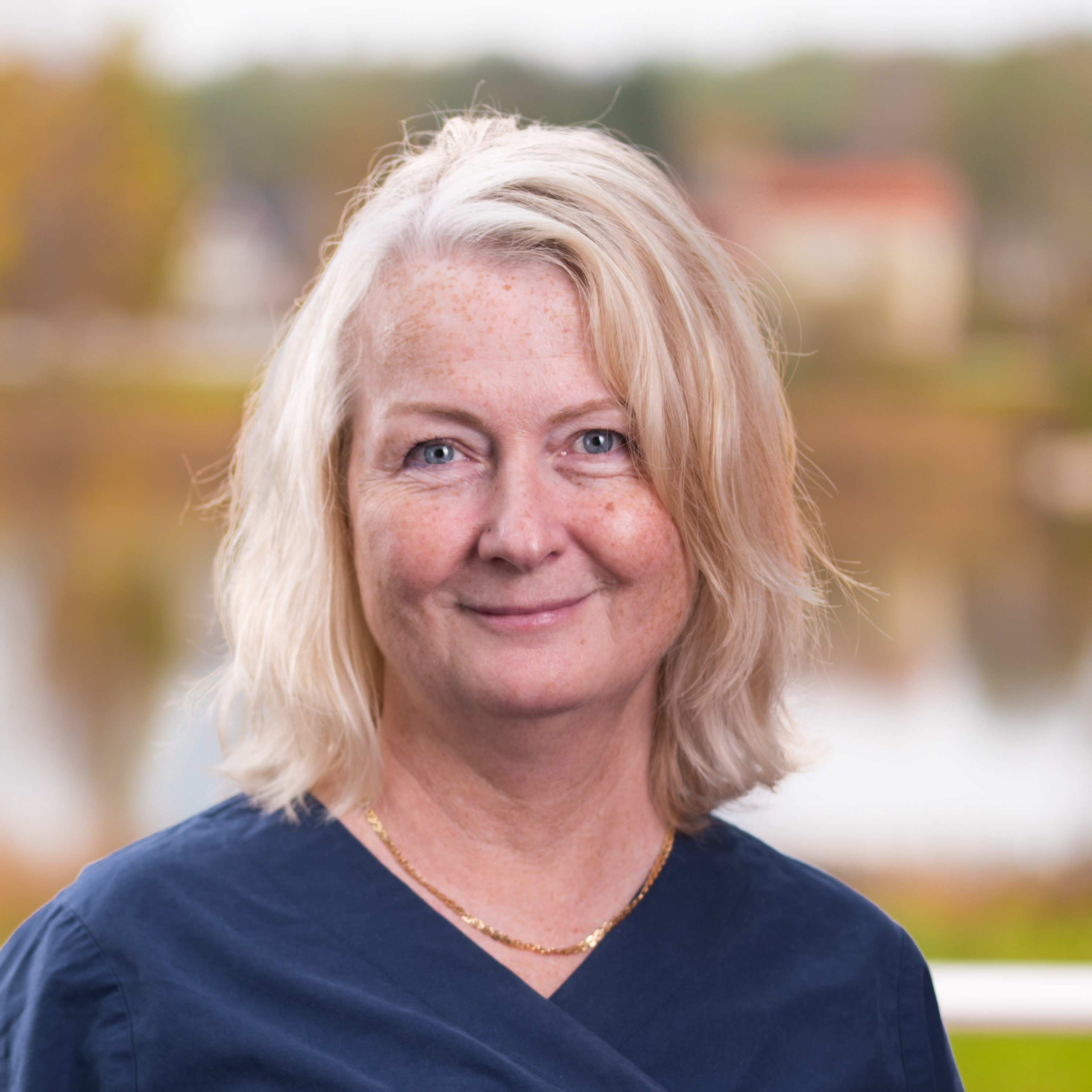Annika Larsson 1 Karlstad
