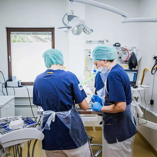 Tandavdelningen på Valla Djursjukhus Linköping