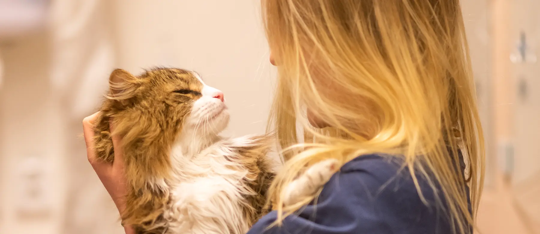 Veterinär Järfälla