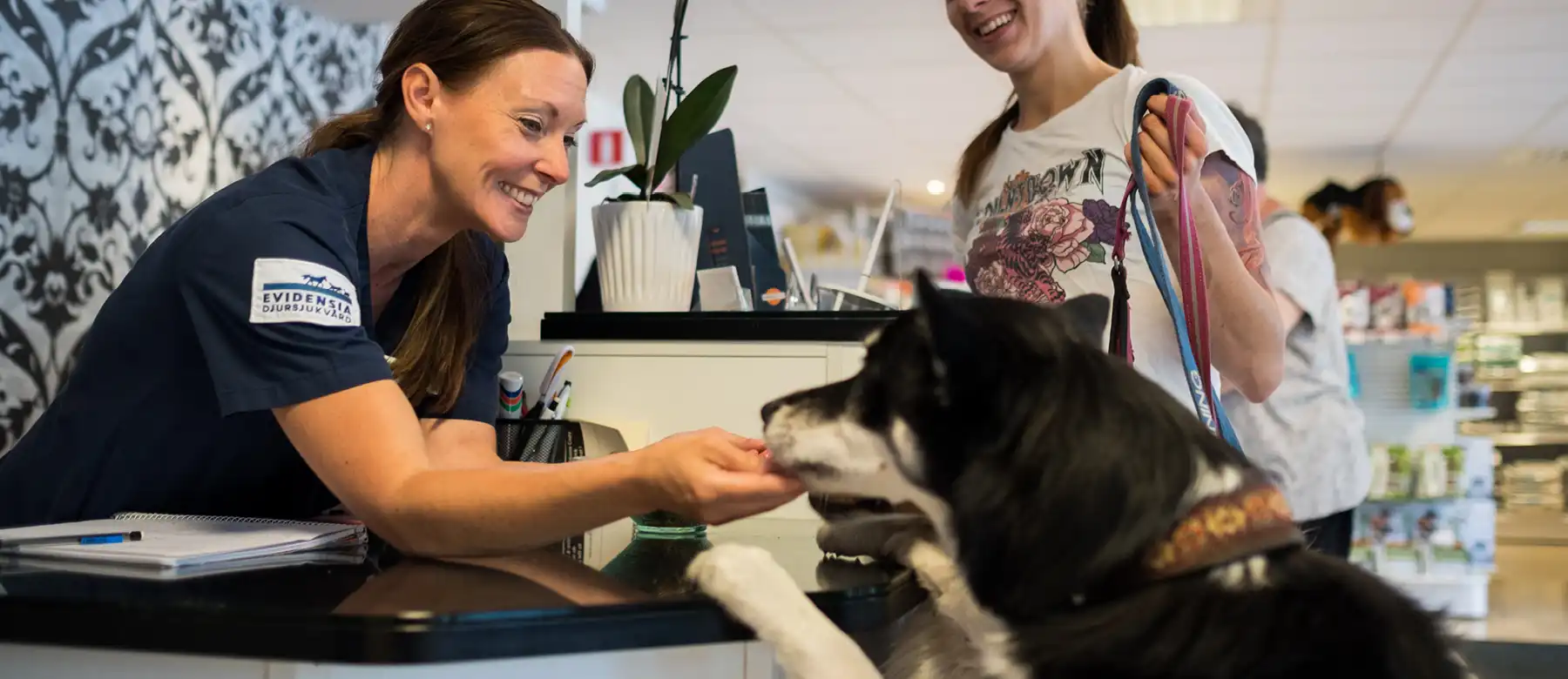Inför besöket - Evidensia Djurkliniken Nacka