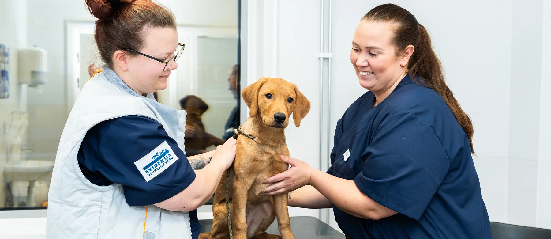 Uppsala Veterinär Evidensia