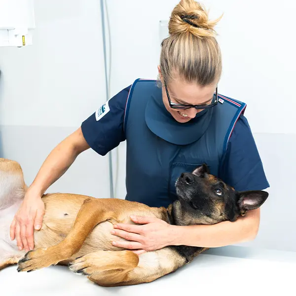 Behandlingar för hund. katt och exotics Uppsala Veterinärklinik