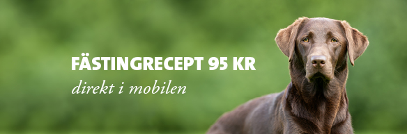 Evidensia Djursjukvård
