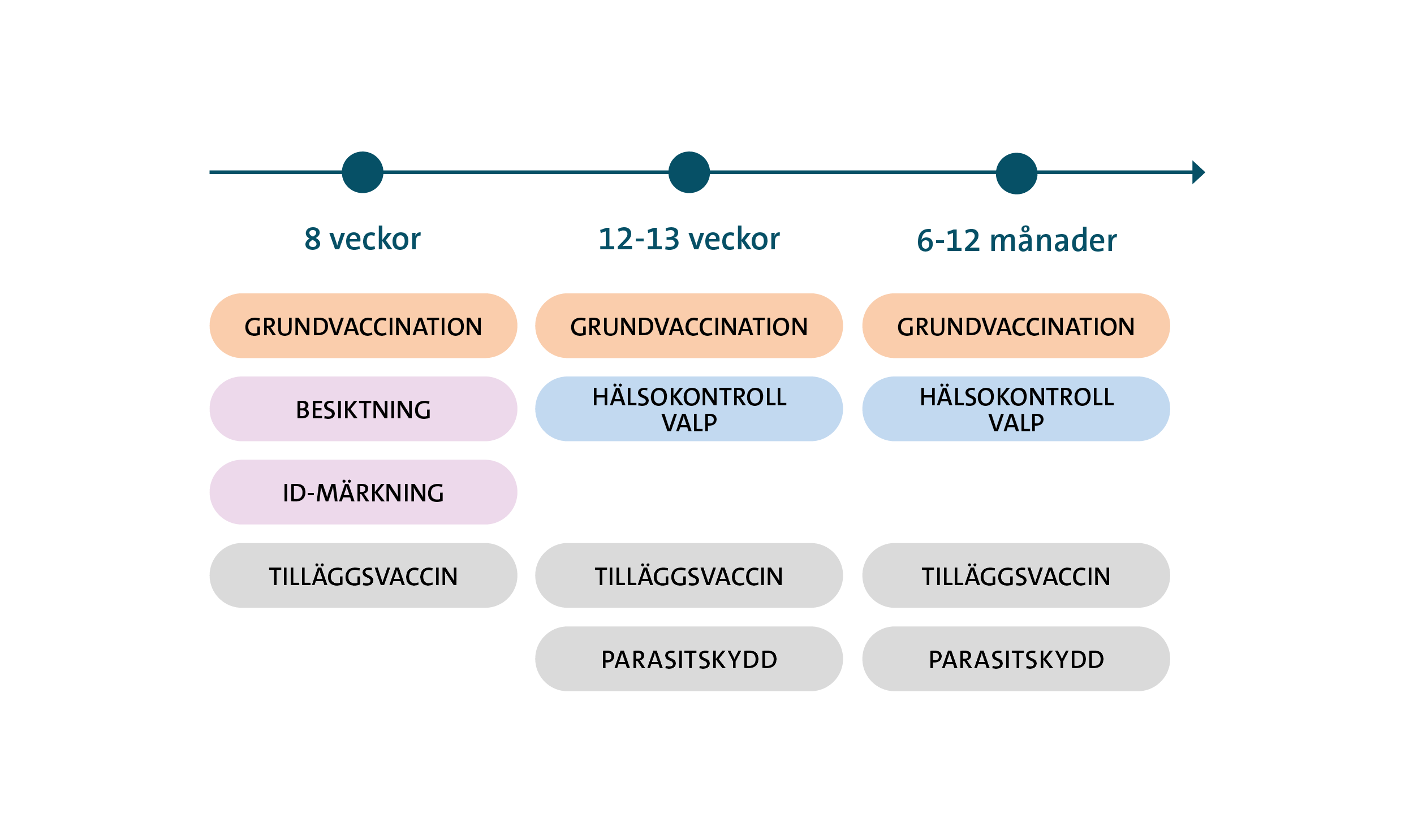 Hälsoguide Hundvalp
