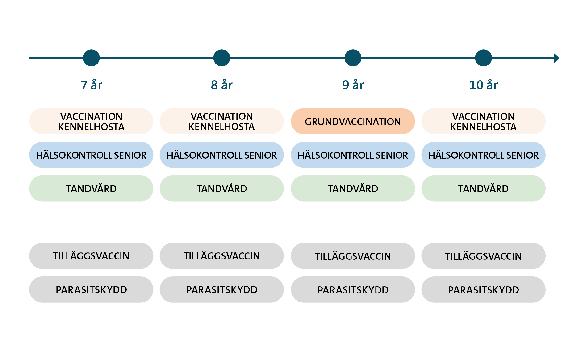 Hälsoplan senior hund