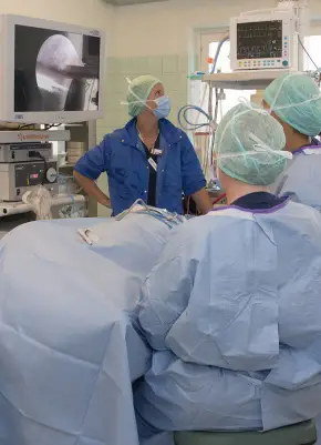 Veterinärer som arbetar under en operation på Strömsholmsdjursjukhus