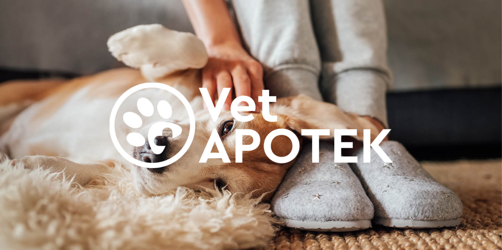 Vit hund ligger på golv och blir klappad på huvudet. Vit logotyp för VetApotek.se