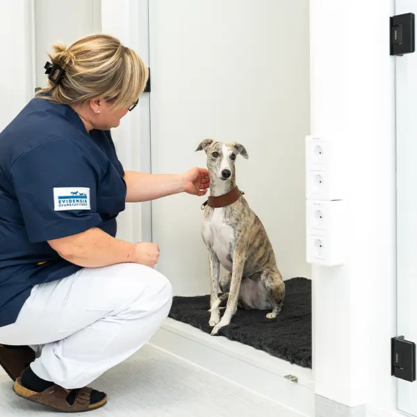 Öppettider Uppsala Veterinärklinik