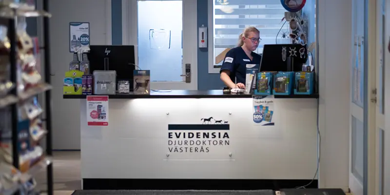 Veterinär Västerås Djurdoktorn