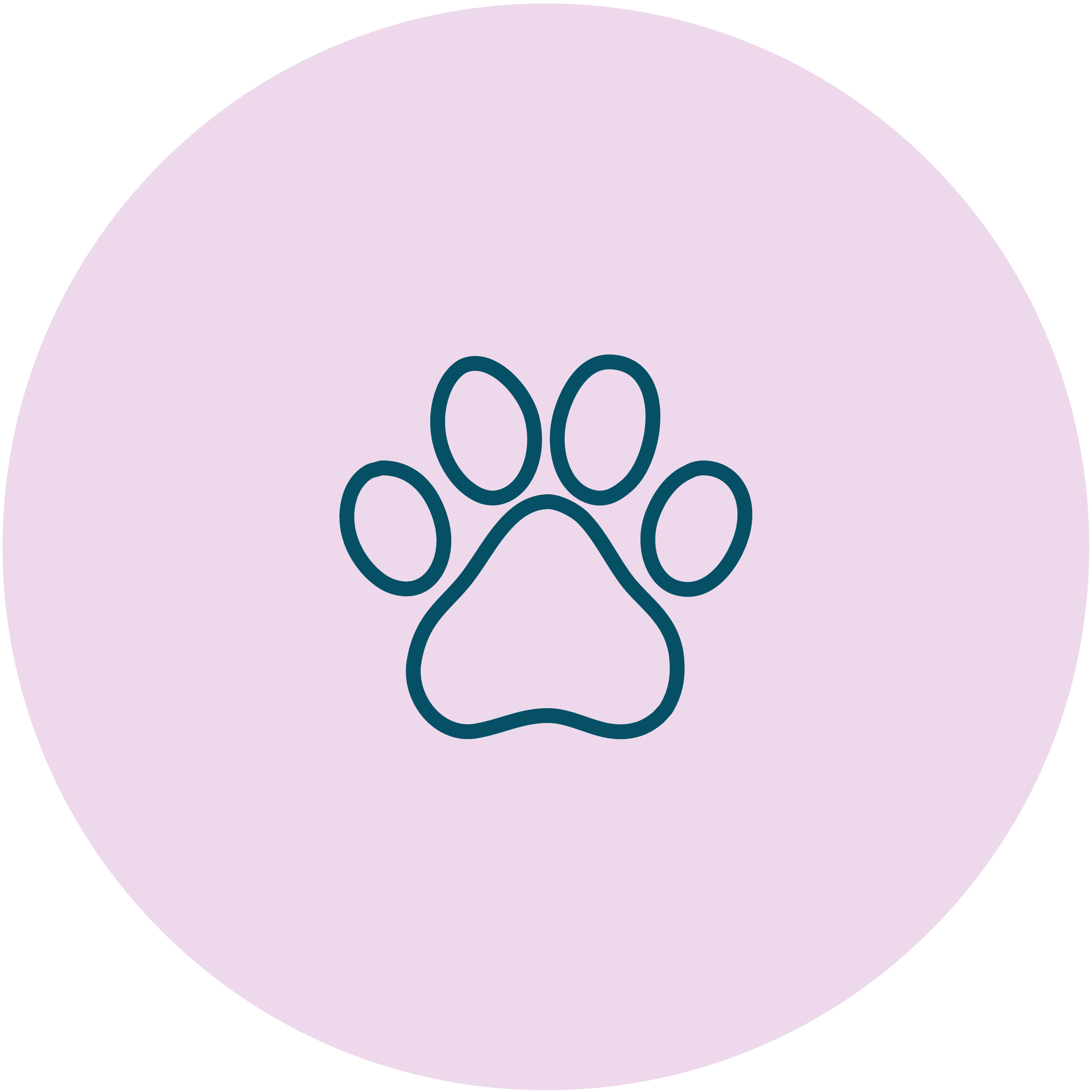 Katt som springe i gräset på sommaren