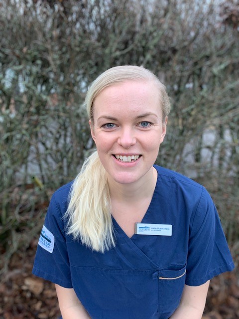 Linn Söderström
