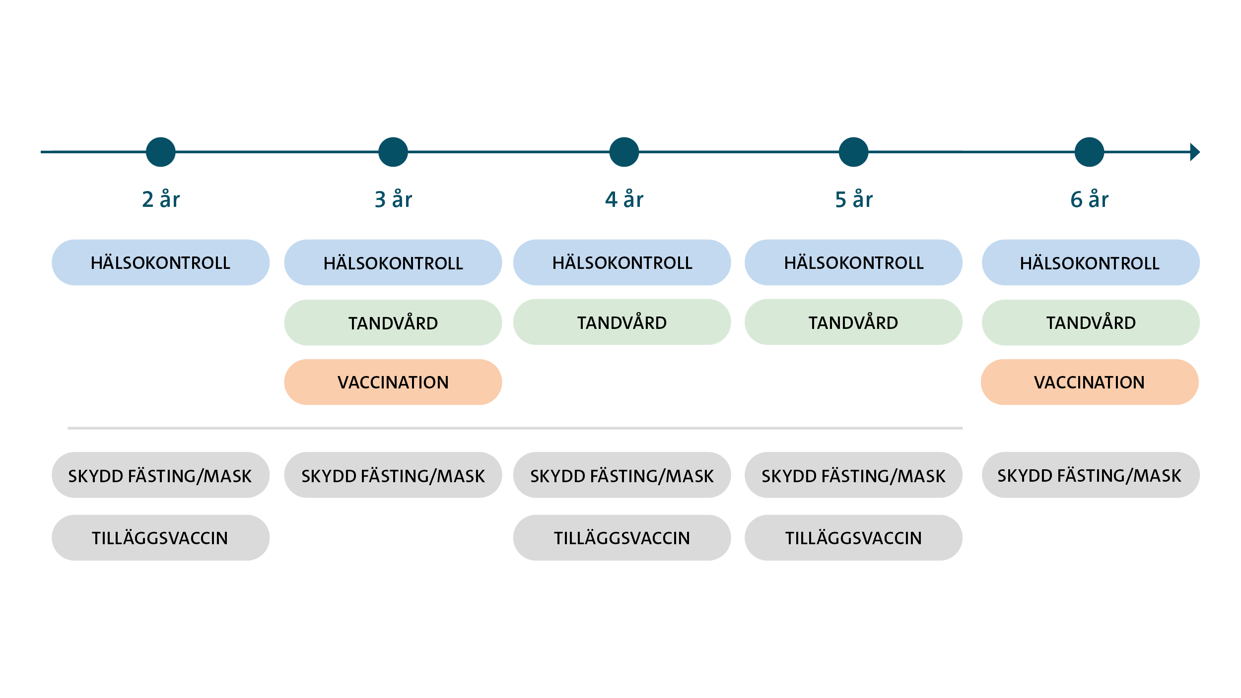 Hälsoplan vuxen katt