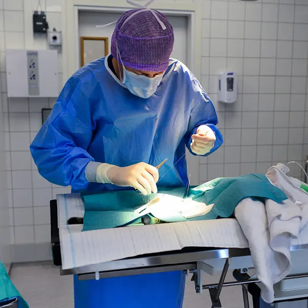 Operationsavdelningen på Valla Djursjukhus Linköping