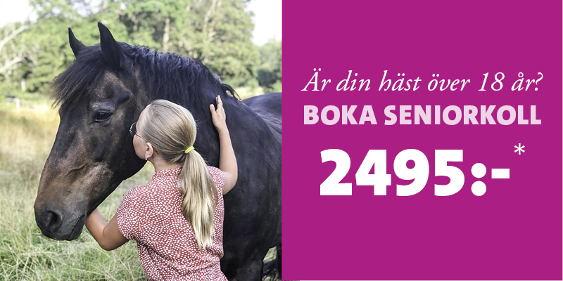 Evidensia Djursjukvård