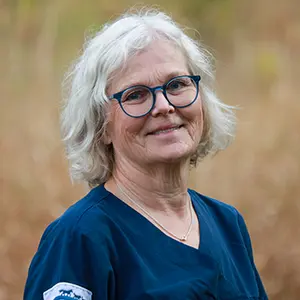 Eva Tiberg