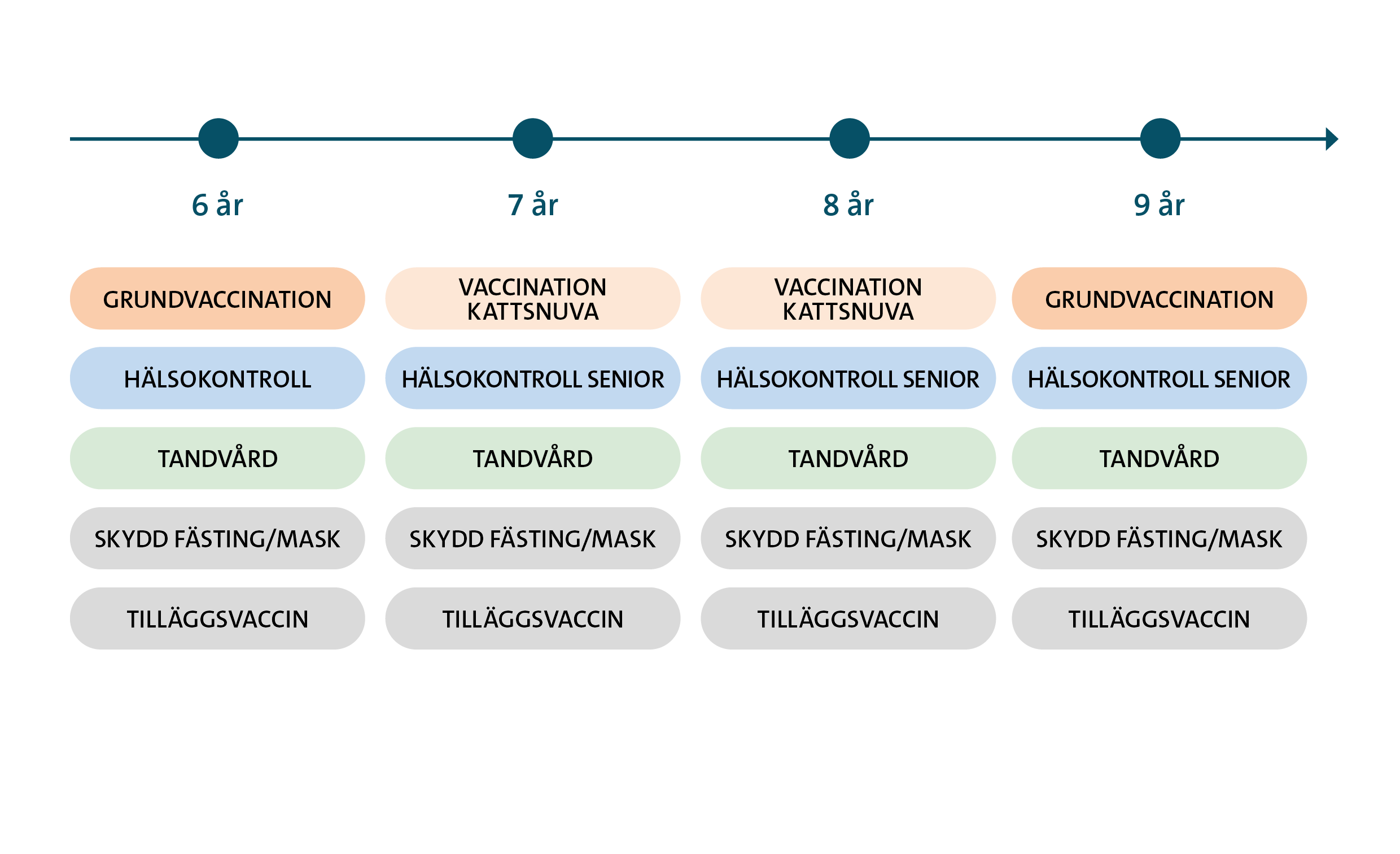 Hälsoplan senior katt
