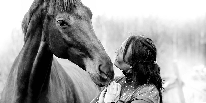 ladylike_häst_800x400