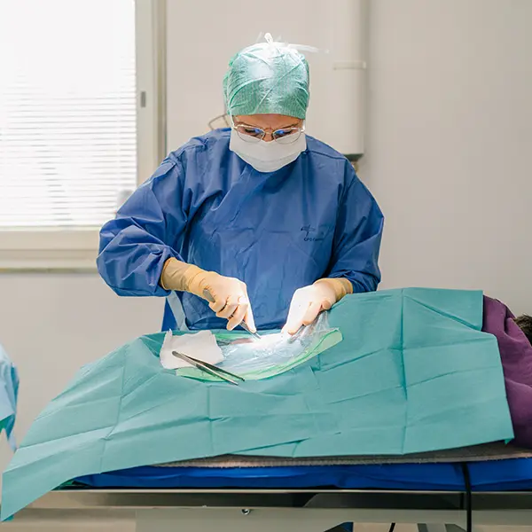 Kirurgi - Djurkliniken Analysen Örebro