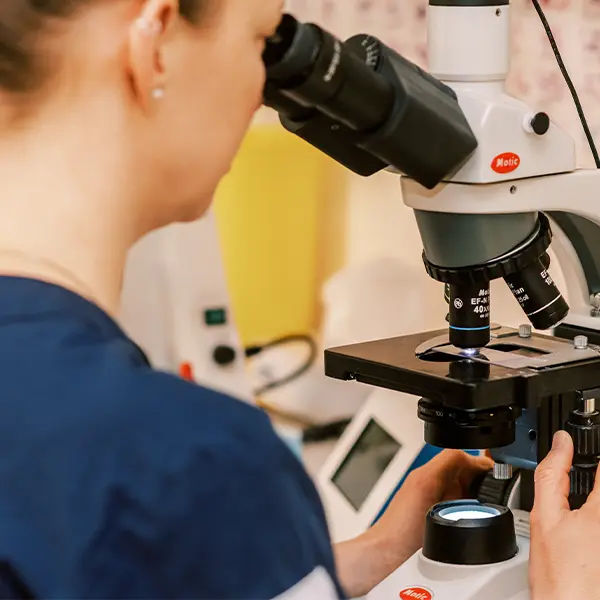 Laboratoriet på Södra Djursjukhuset