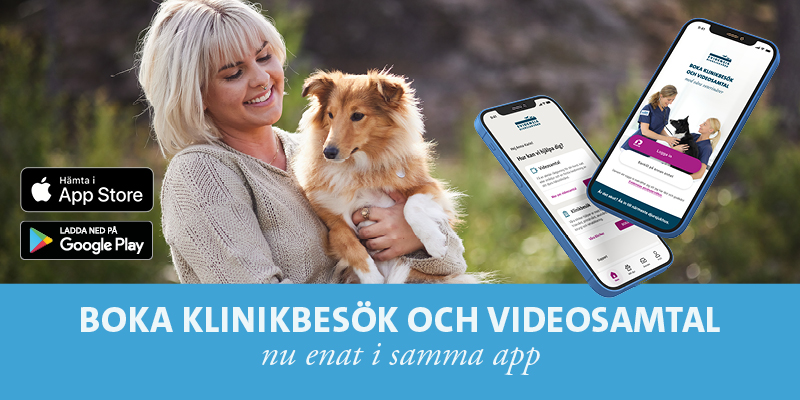 Evidensia Djursjukvård