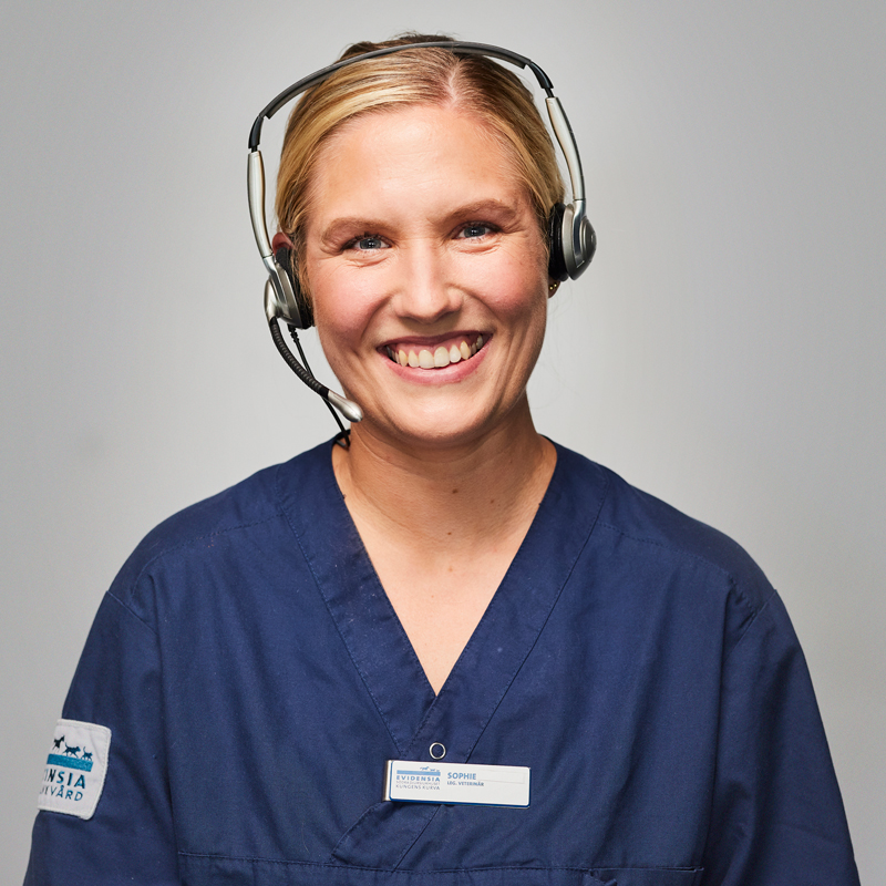 Veterinär Djursjukhus Kungens Kurva Södra